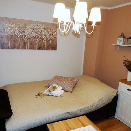 Studio Apartman Tvrtko Varazdin Exterior photo